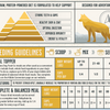 Grain-Free Chicken Freeze-dried Raw Adventure Fuel (Dog Food)