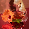 Organic Hibiscus Ginger